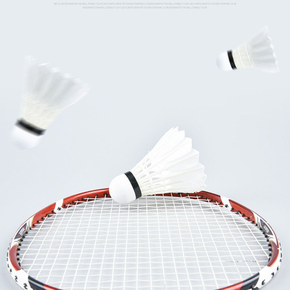 3/6/12 Pezzi Nuovi Volani da B - Feather Shuttlecock recensione e prezzo